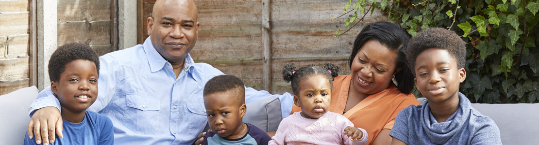 Voluntary Adoption Agencies